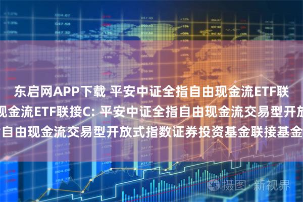 东启网APP下载 平安中证全指自由现金流ETF联接A,平安中证全指自由现金流ETF联接C: 平安中证全指自由现金流交易型开放式指数证券投资基金联接基金基金合同