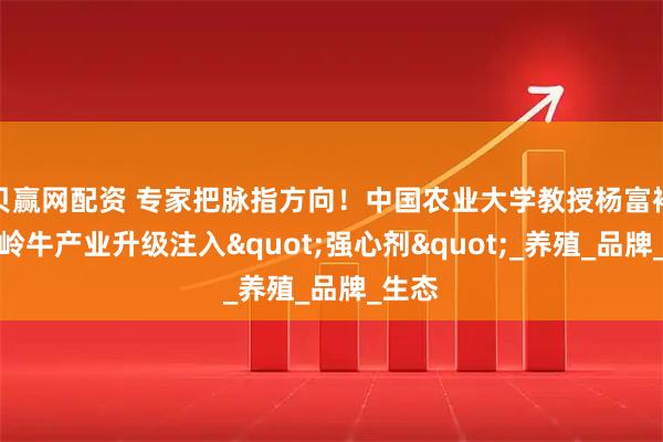贝赢网配资 专家把脉指方向！中国农业大学教授杨富裕为关岭牛产业升级注入"强心剂"_养殖_品牌_生态