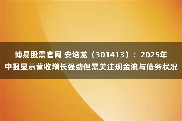 博易股票官网 安培龙(301413):2025年中报显示营收增长强劲但需关注现金流与债务状况