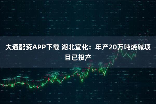 大通配资APP下载 湖北宜化：年产20万吨烧碱项目已投产